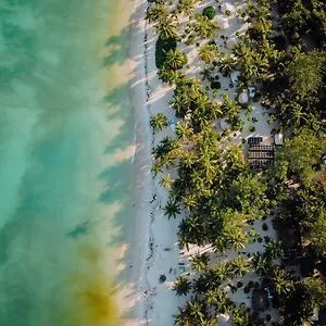 Cielo Y Selva Alojamento de Turismo Selvagem Punta Allen